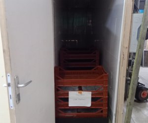 Harvest Sample1